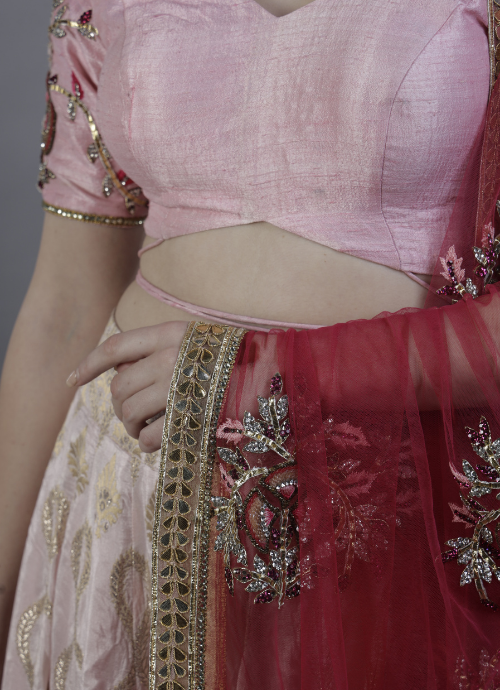 Blush Pink Embroidered Lehenga Set with Contrasting Dupatta